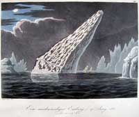 ross ist Remarkable iceberg